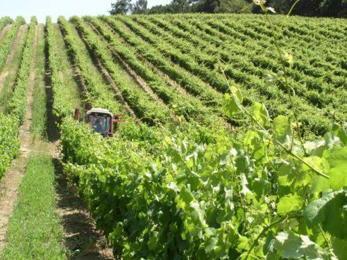Quinta De Catralvos Affittacamere